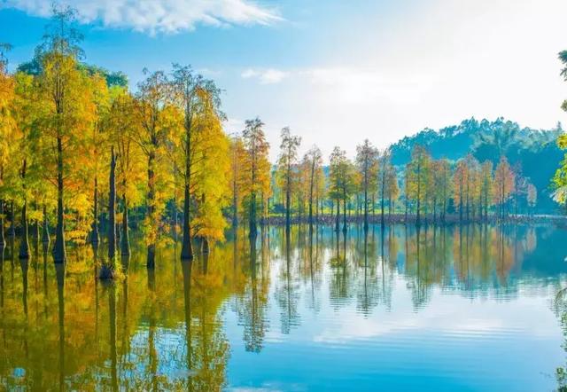 �����ϵĺ�լ������ɽ�̹�԰����Ϫ�ȡ���10��Ķԭ���ֺ���լ��