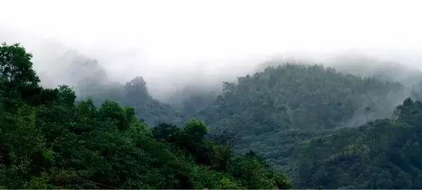 �����ϵĺ�լ������ɽ�̹�԰����Ϫ�ȡ���10��Ķԭ���ֺ���լ��