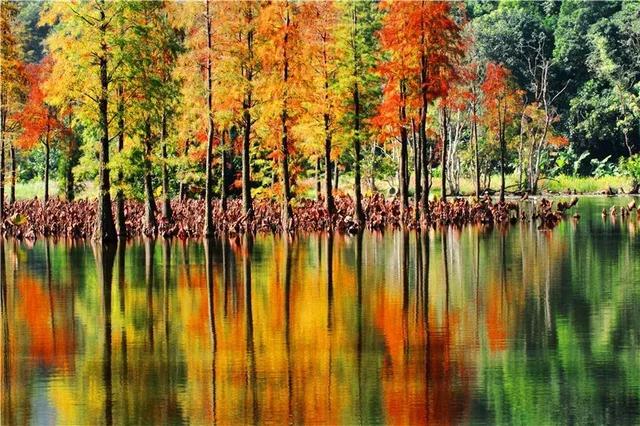 �����ϵĺ�լ������ɽ�̹�԰����Ϫ�ȡ���10��Ķԭ���ֺ���լ��