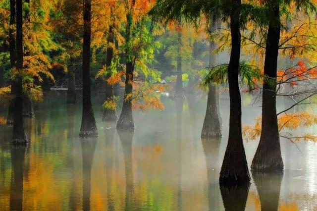 �����ϵĺ�լ������ɽ�̹�԰����Ϫ�ȡ���10��Ķԭ���ֺ���լ��