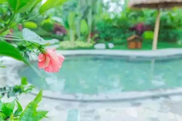 ��Ȫ˽ۡ�����Ž������ʿ���������ڱ̹�԰����Ϫ��