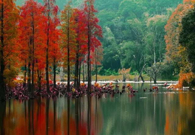 ��Ȫ˽ۡ�����Ž������ʿ���������ڱ̹�԰����Ϫ��