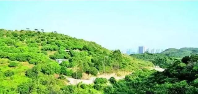 ����ԭ��������ļ�ֵ���������