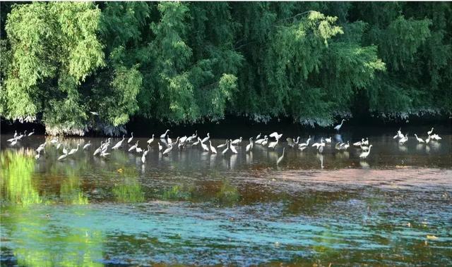 ������Ψһ�Ĺ���4A�������أ�ԭ�������ֲ��Ǻ�ɫ��