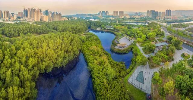 ������Ψһ�Ĺ���4A�������أ�ԭ�������ֲ��Ǻ�ɫ��