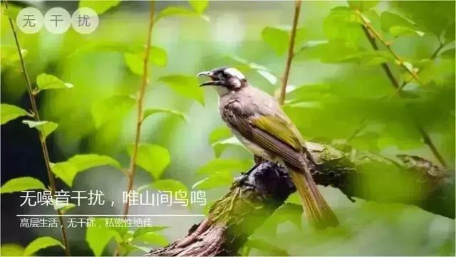 �ڱ̹�԰����Ϫ�ȣ����ݳ޵Ķȼٹ����ճ�����