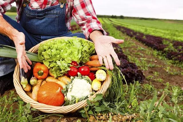 �ڱ̹�԰����Ϫ�ȣ����ݳ޵Ķȼٹ����ճ�����