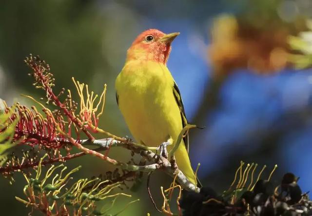 �ڱ̹�԰����Ϫ�ȣ����ݳ޵Ķȼٹ����ճ�����