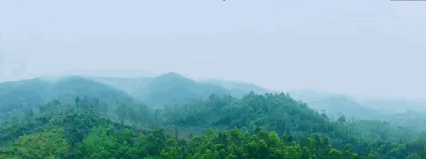 �ڱ̹�԰����Ϫ�ȣ����ݳ޵Ķȼٹ����ճ�����