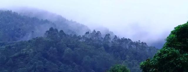 �ڱ̹�԰����Ϫ�ȣ����ݳ޵Ķȼٹ����ճ�����