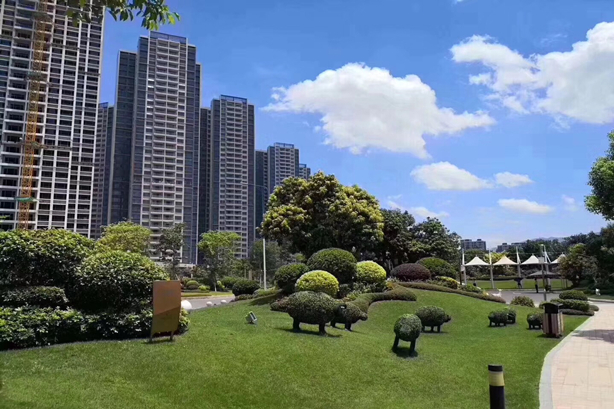 �̹�԰��̫��������