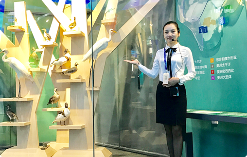 ����������ҵ�����ĺǻ�����