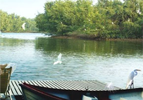 Լ112��O���ҳ���ʪ�ع�԰