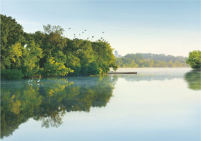 ����ԭ��̬������������