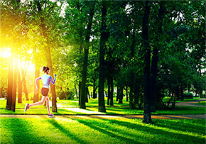 Լ2.7���ﻷ�ν���˫�ܵ�