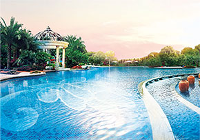 �ϱ���˫Ӿ��