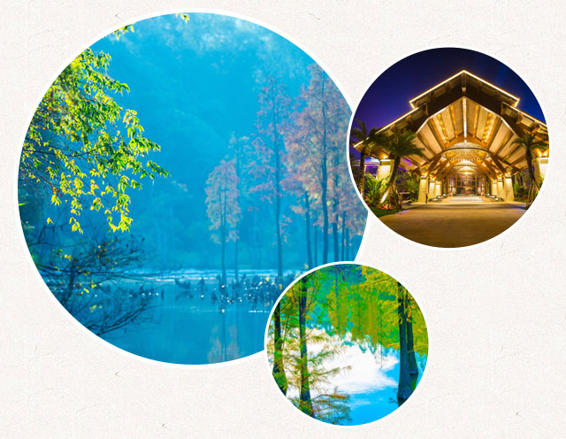 ����Ϫ����������