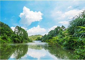 ��ӵ6��԰ ��Ȼ��ɭ������