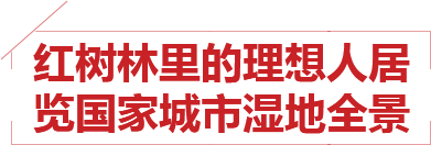 ̫��������